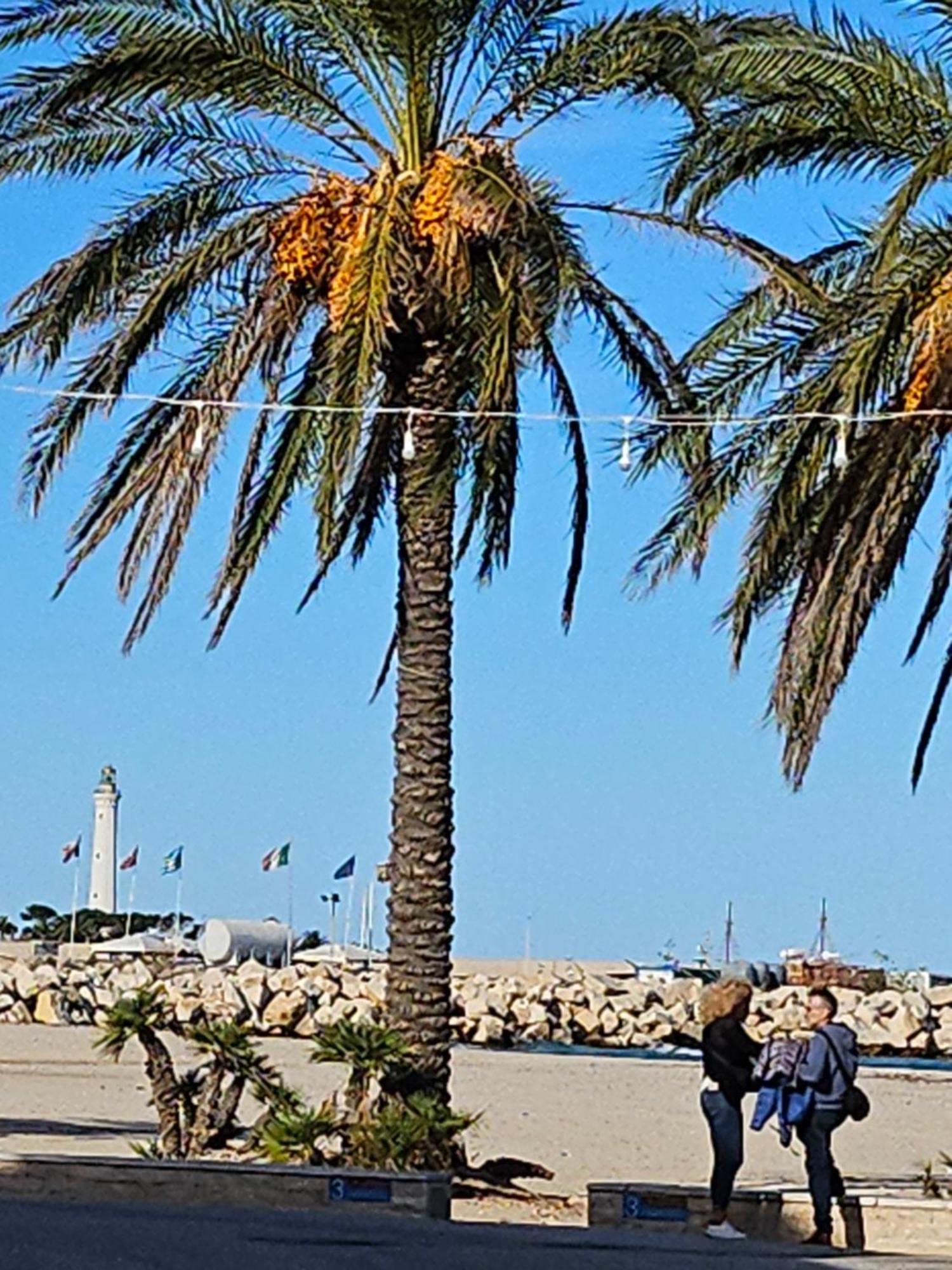 Cico Appartamento San Vito Lo Capo Kültér fotó