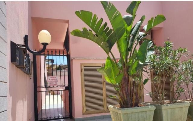 Cico Appartamento San Vito Lo Capo Kültér fotó